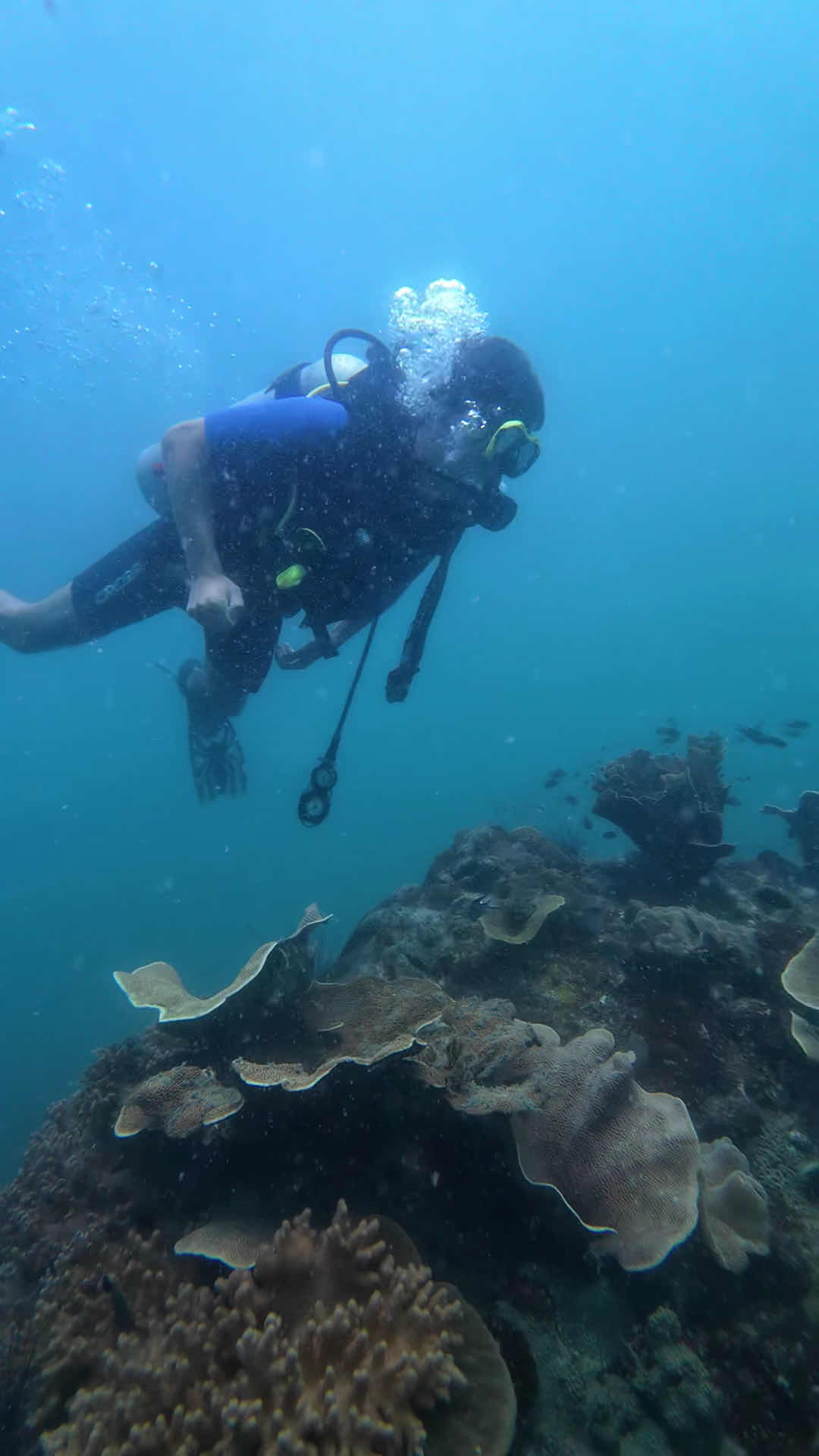 PHU QUOC DIVING CLUB - SSI DIVE CENTER photo 3
