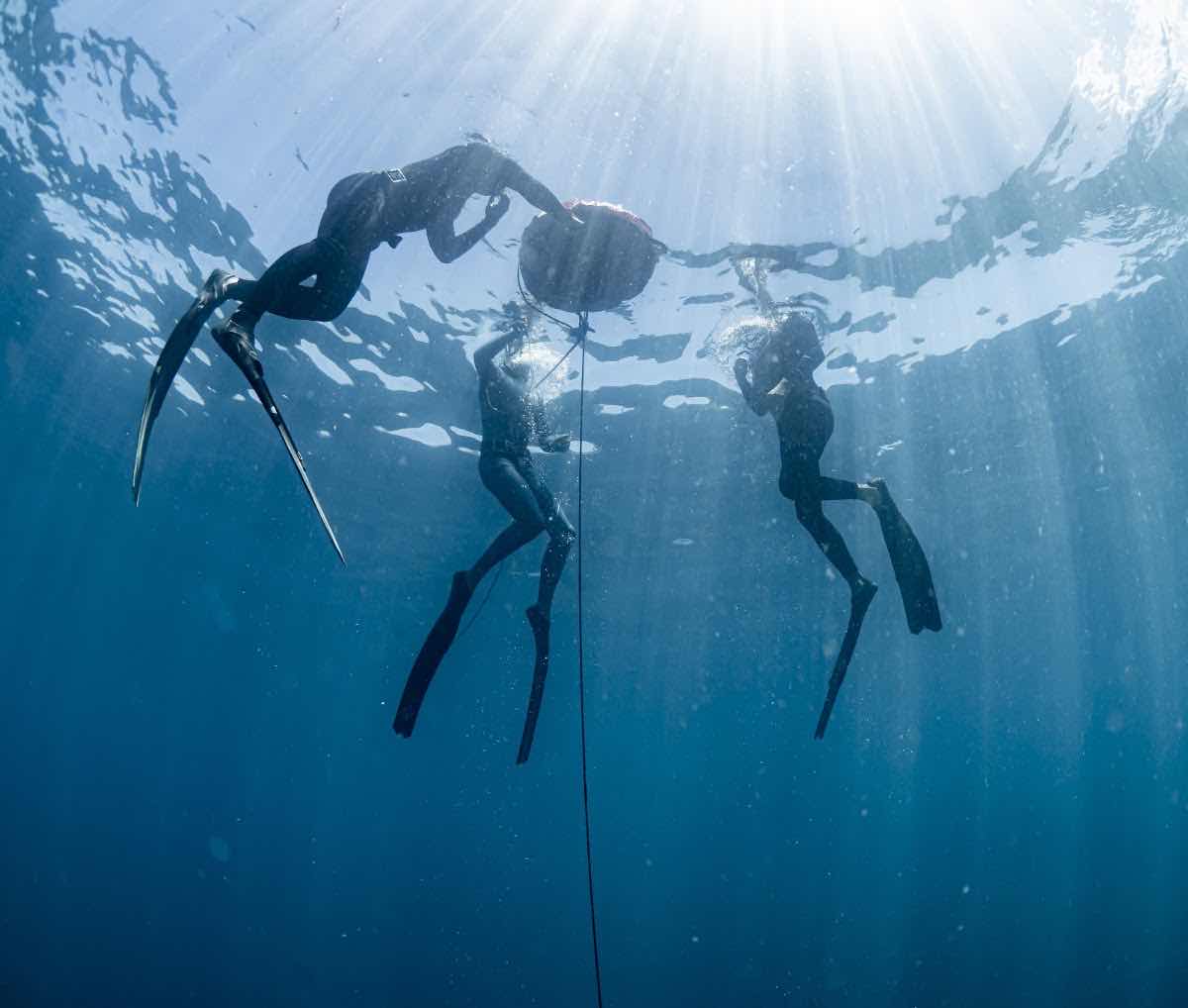 Freedive Nosy Be photo 1