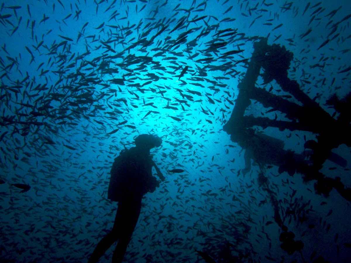 Freedive Nosy Be photo 4