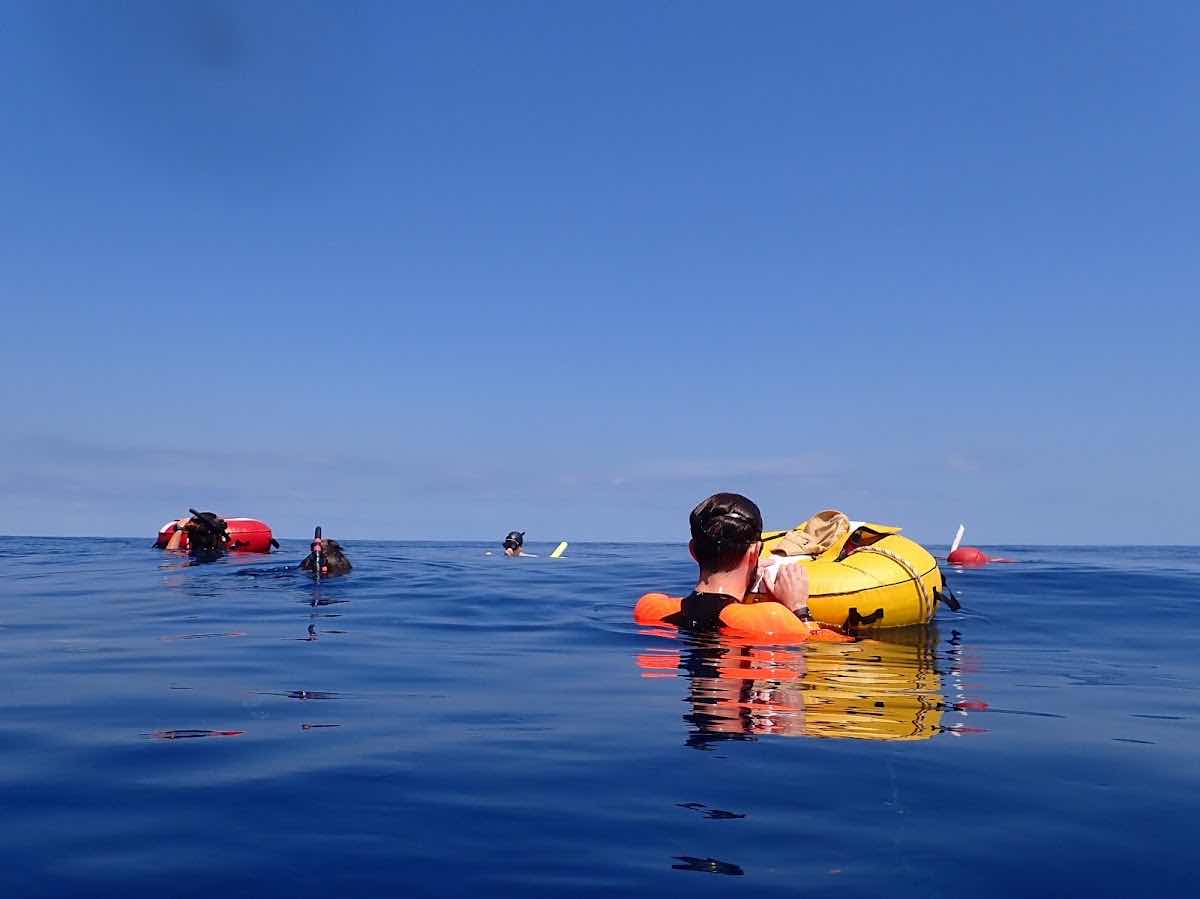 Freedive Nosy Be photo 10
