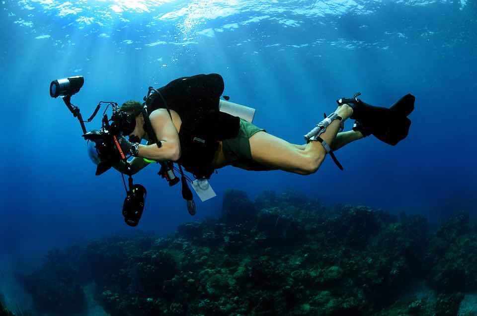 Mombasa Diving Team (Voyager Hotel) photo 7