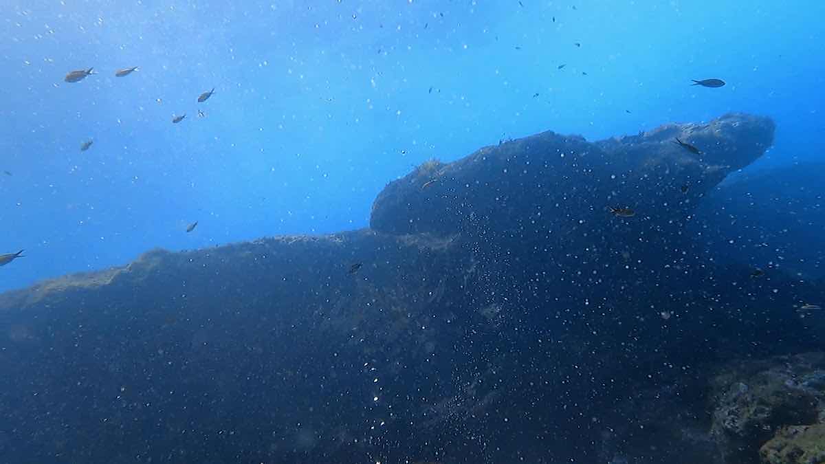 Atlantis Divers photo 4