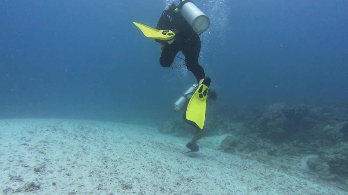 Palau LT Dive photo 3