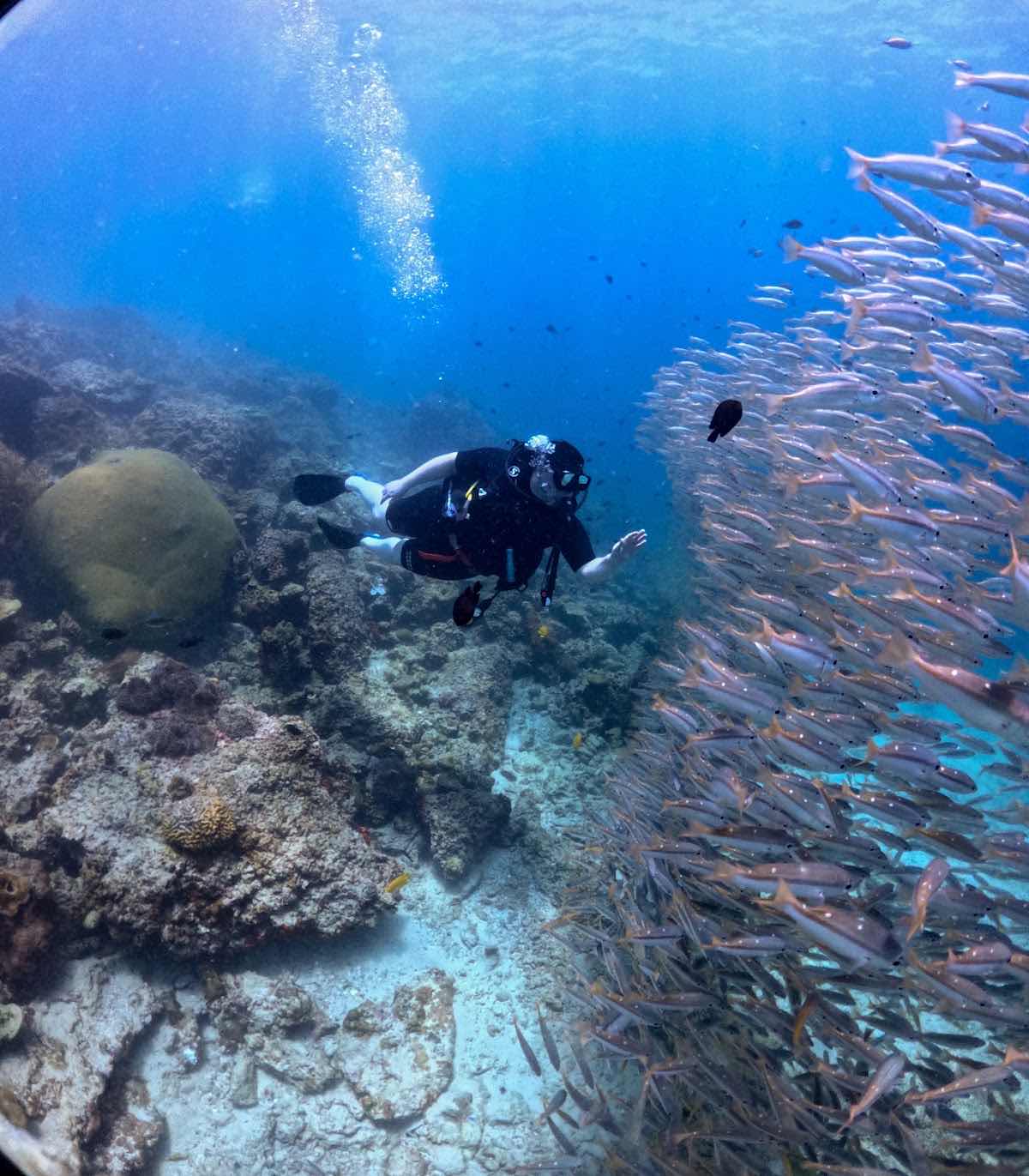 Trip To Dive photo 1