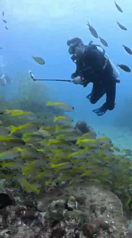 Trip To Dive photo 3