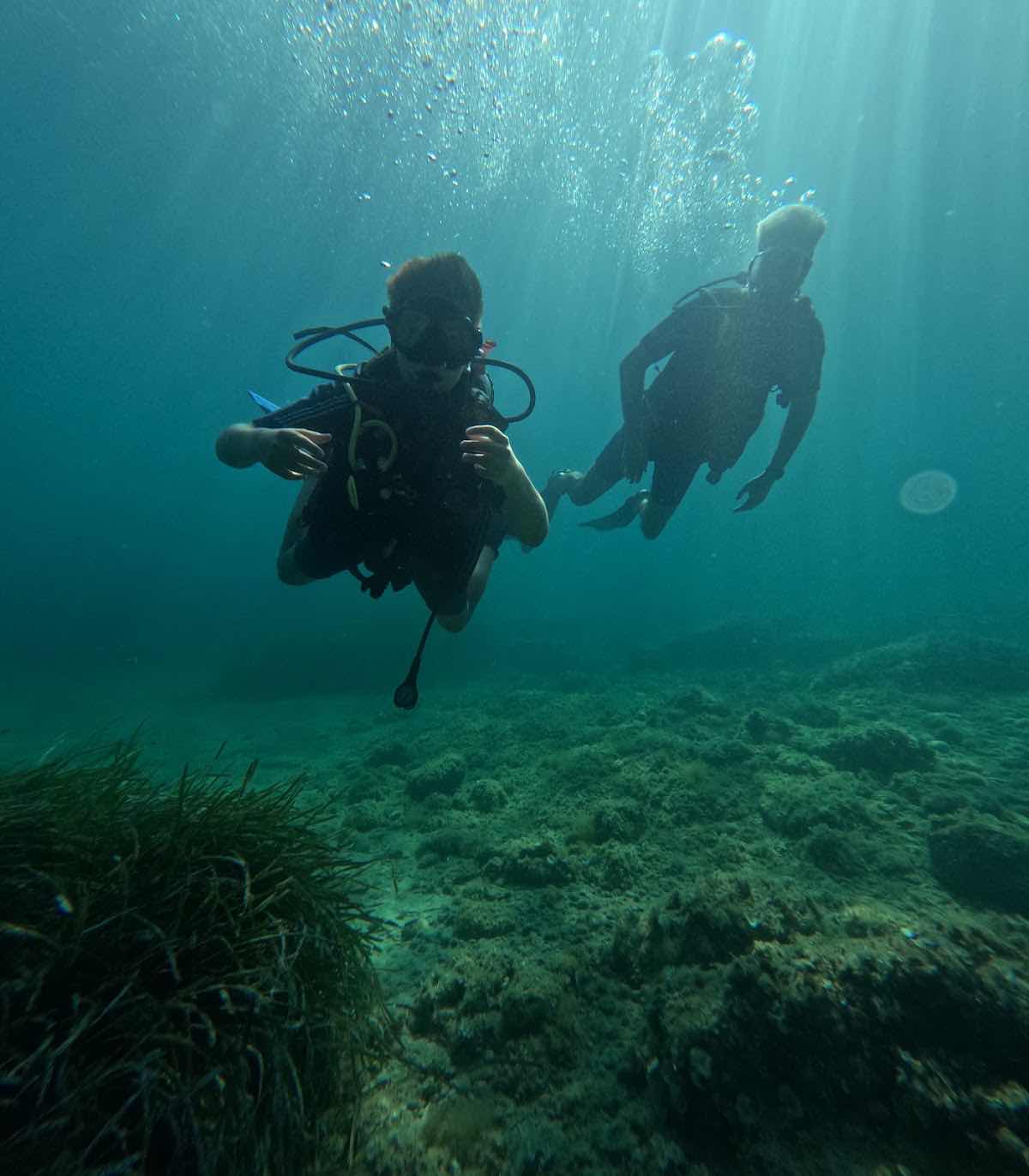 PADI - Barracuda Diving Mallorca photo 2