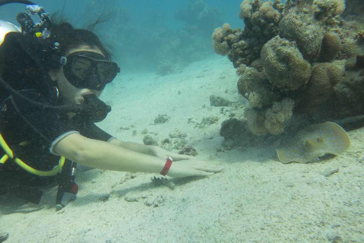 Hunter Divers photo 5
