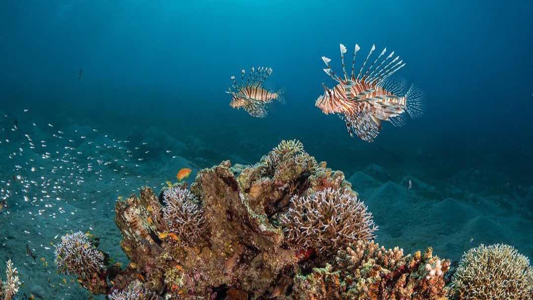 Hunter Divers photo 8
