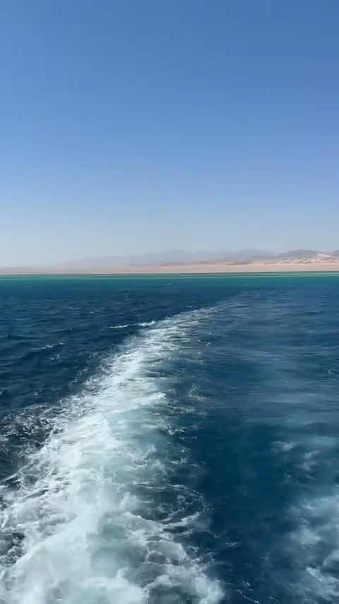 Hunter Divers photo 9