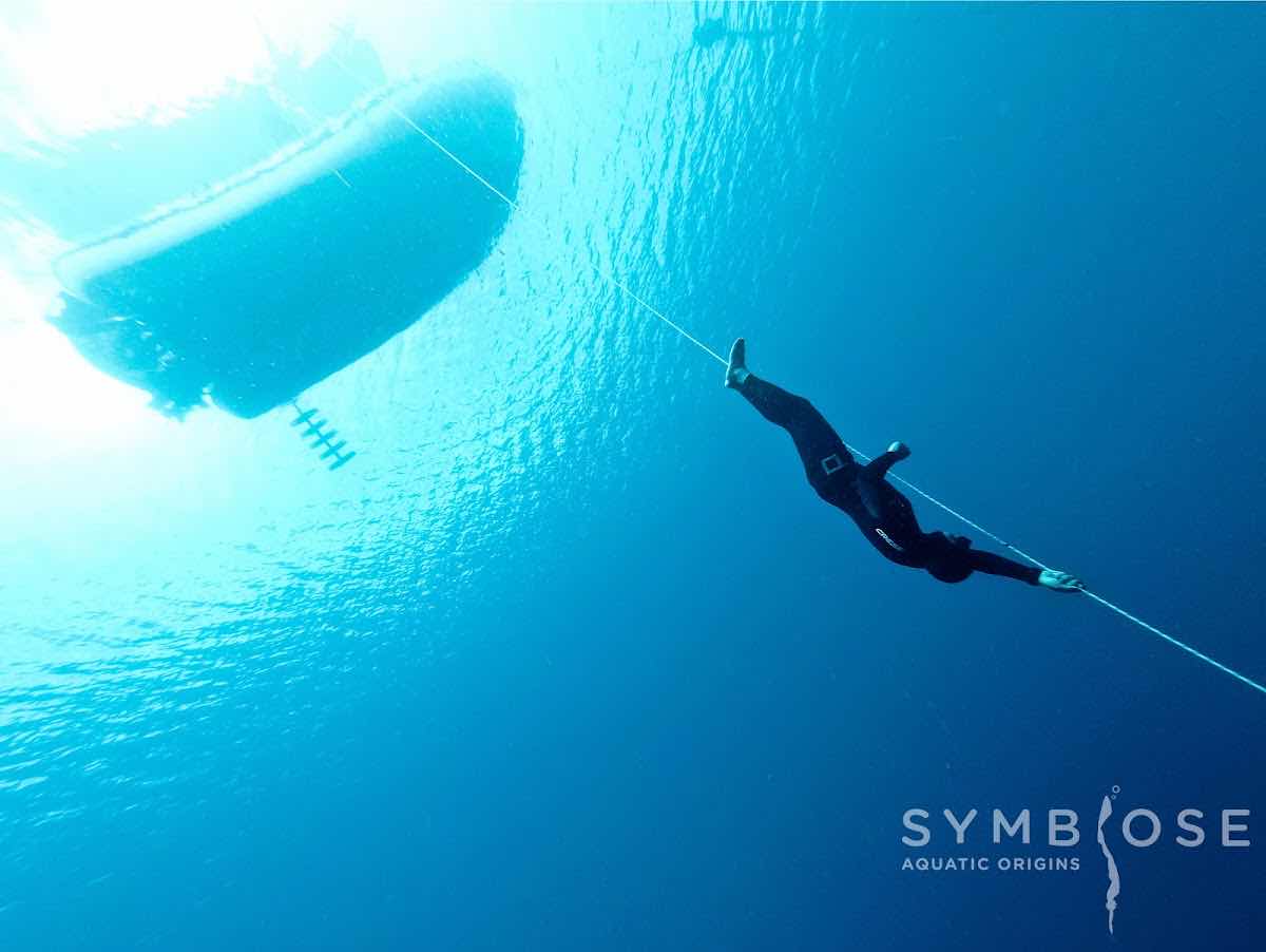SYMBIOSE APNEE photo 2