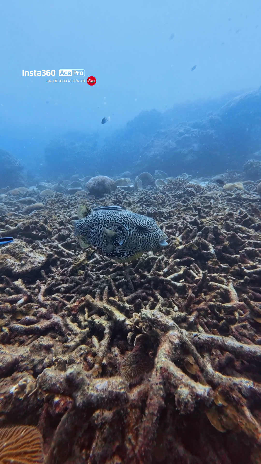 Lekker Divers photo 10