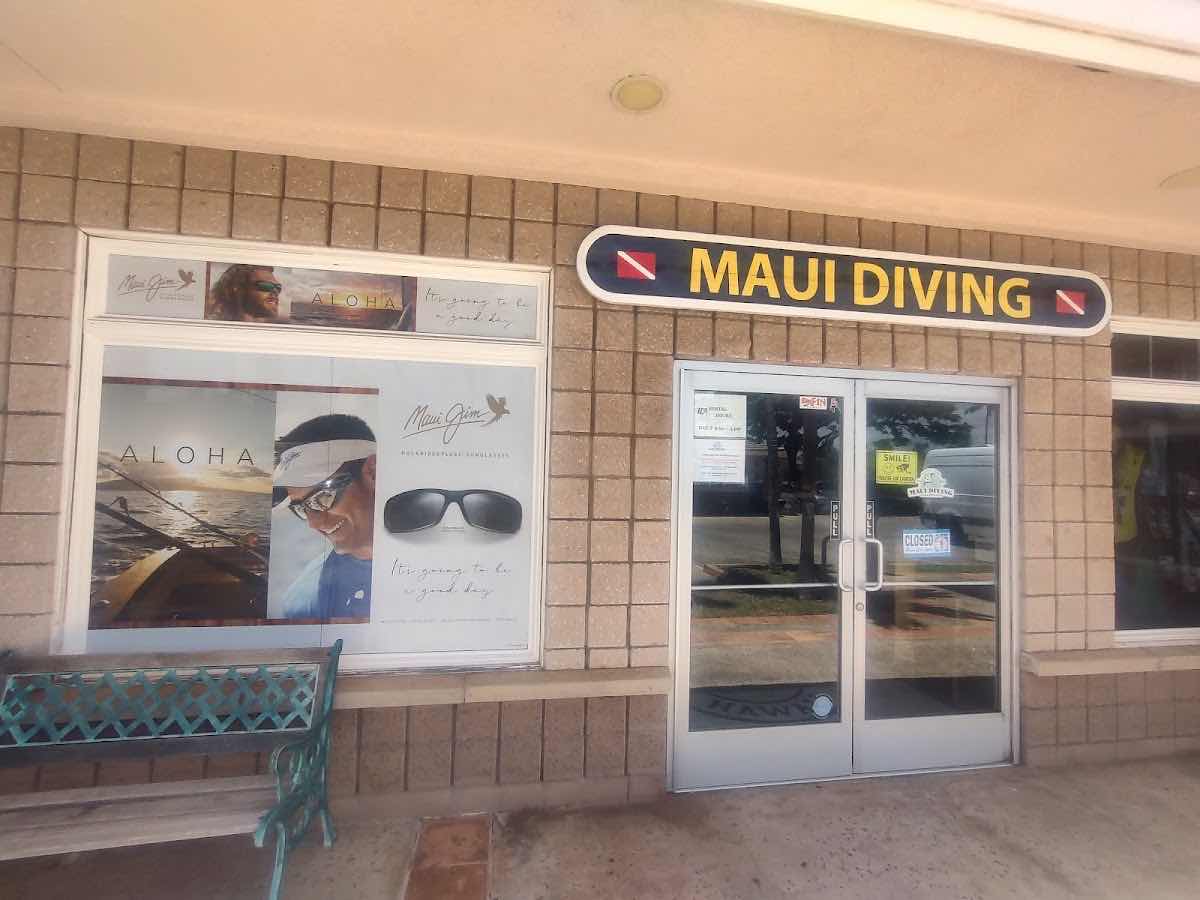 NeverDry Divers photo 8