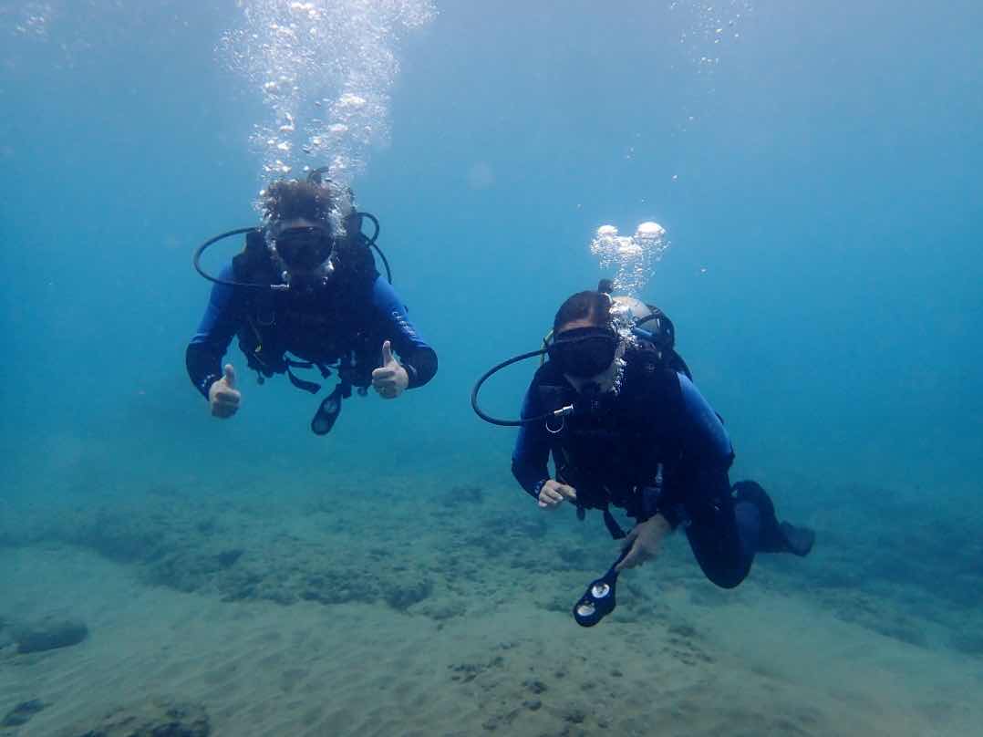 NeverDry Divers photo 9