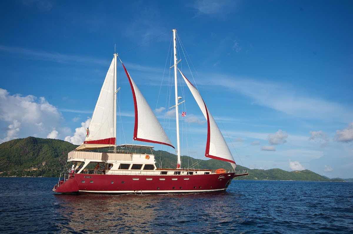 Diving Cruises Seychelles Ltd photo 4