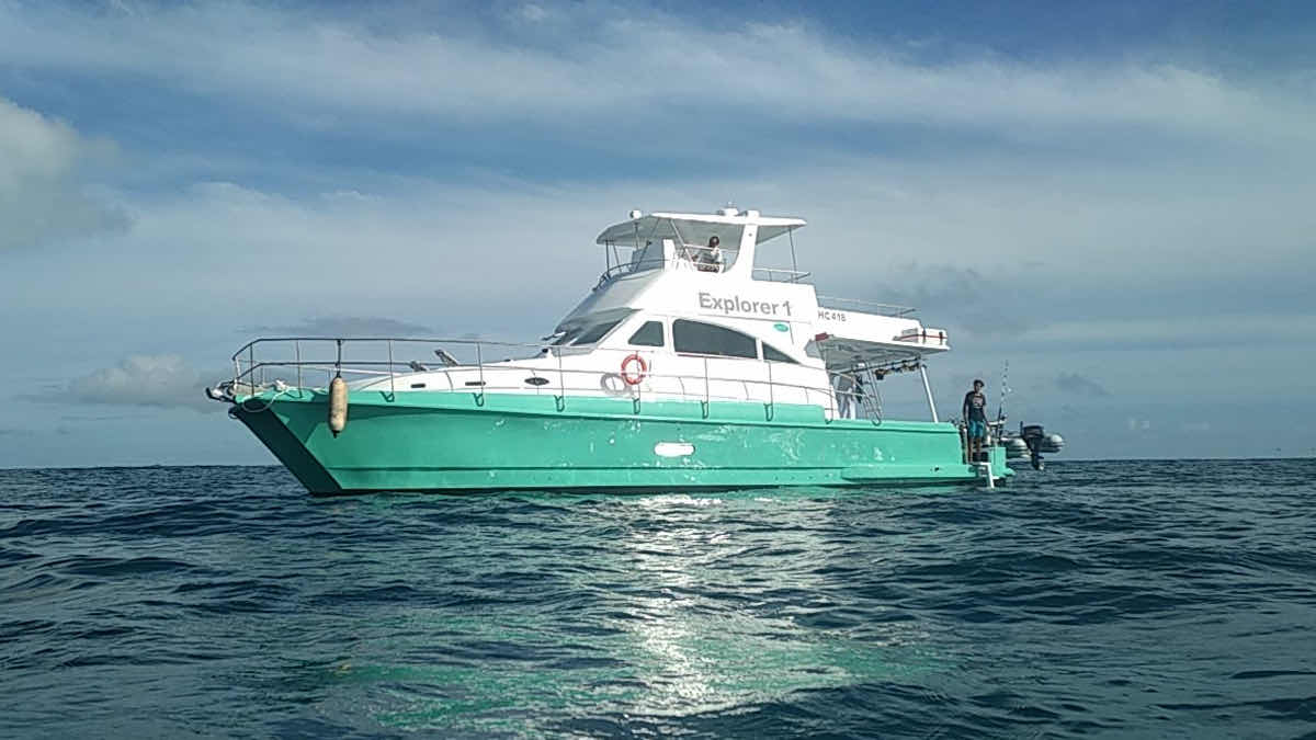 Diving Cruises Seychelles Ltd photo 5