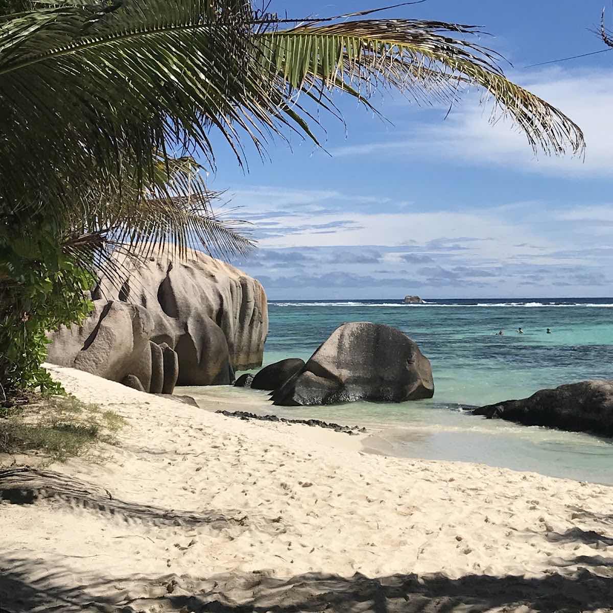 Diving Cruises Seychelles Ltd photo 7