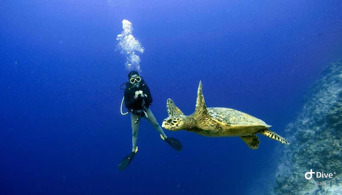 LAK SCUBA photo 5
