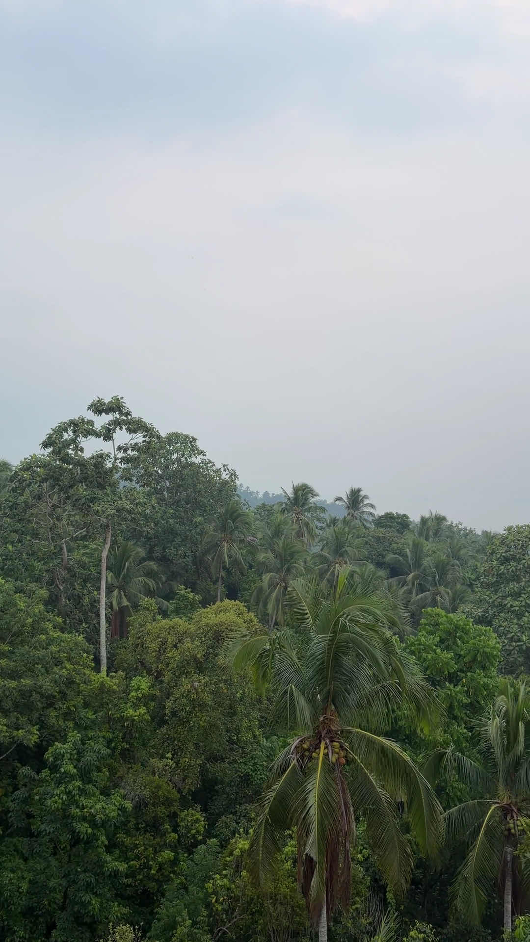 Balai Hiraya photo 2