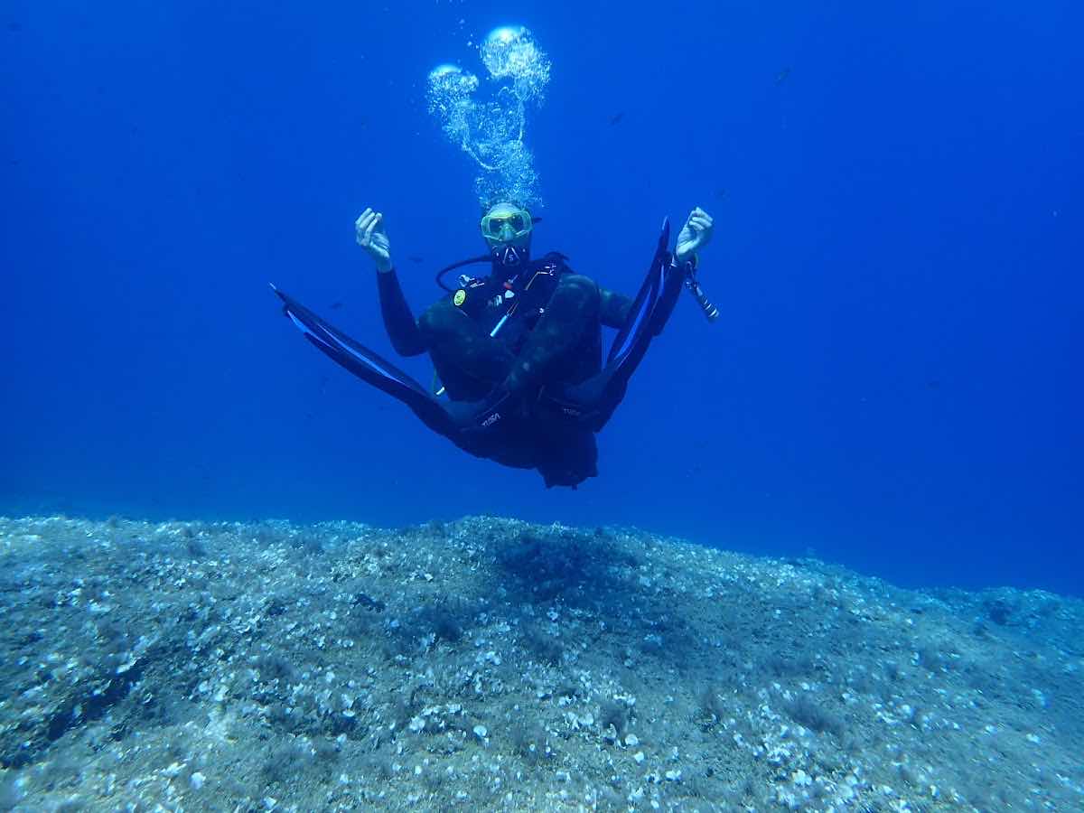 Divers Society photo 10