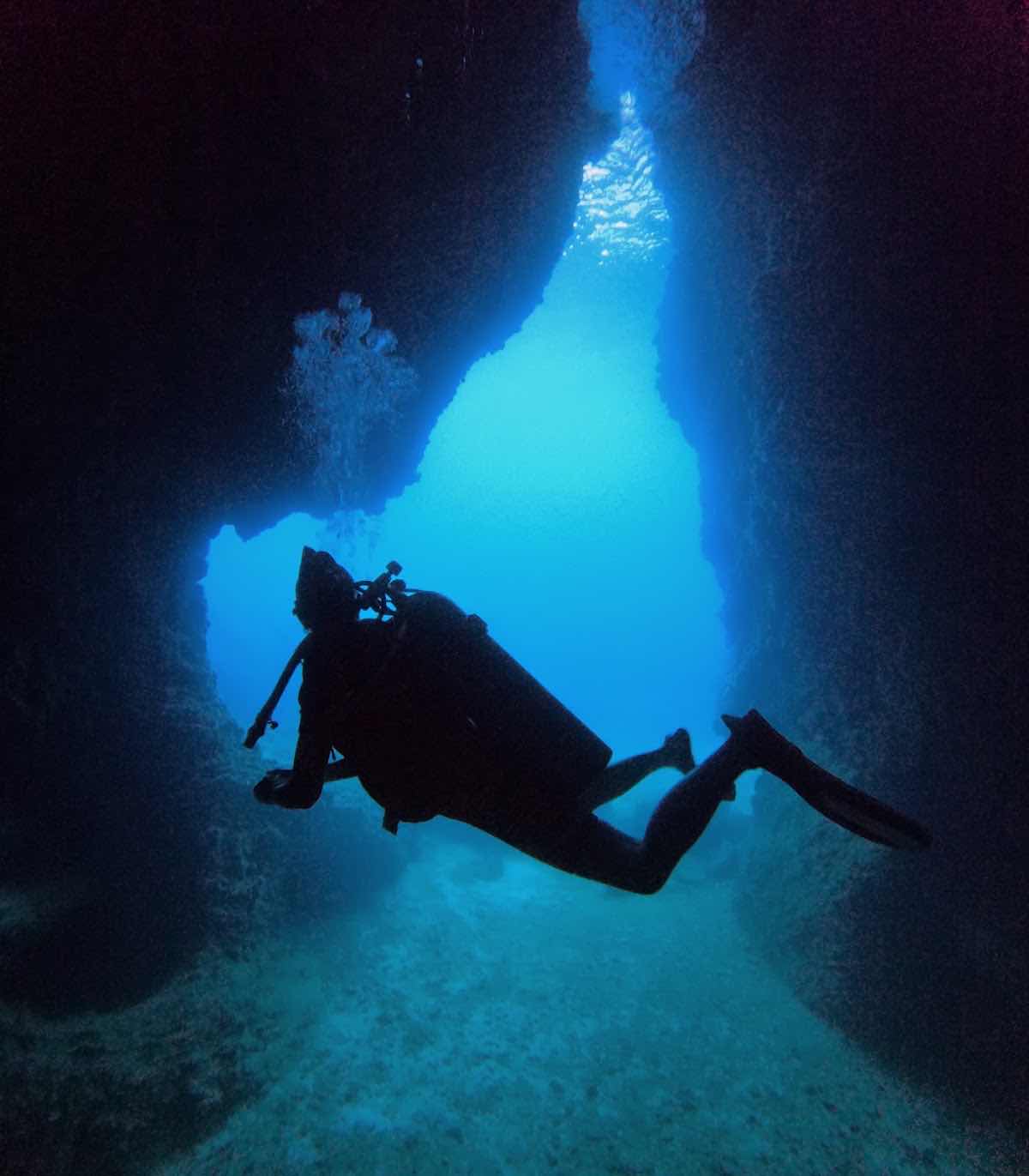 Apex Divers - Koh Lanta Scuba Diving, Freediving, Snorkelling, Coral Conservation photo 4