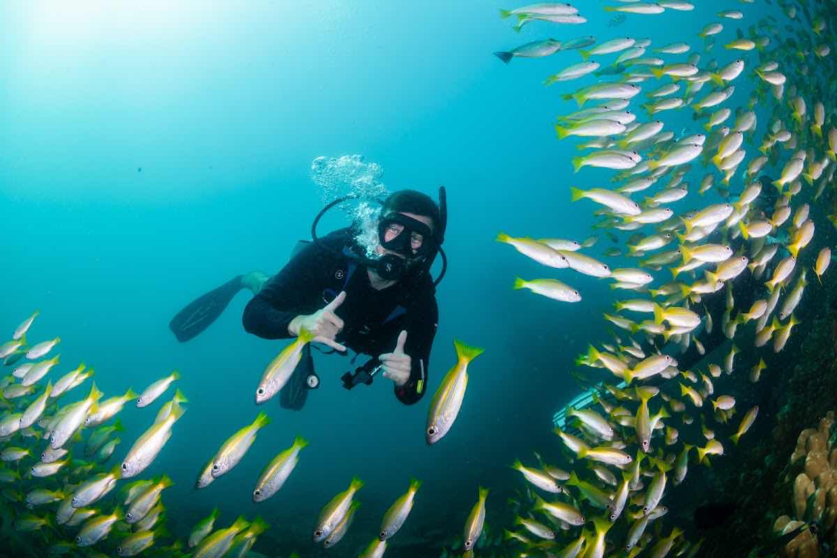 Apex Divers - Koh Lanta Scuba Diving, Freediving, Snorkelling, Coral Conservation photo 7