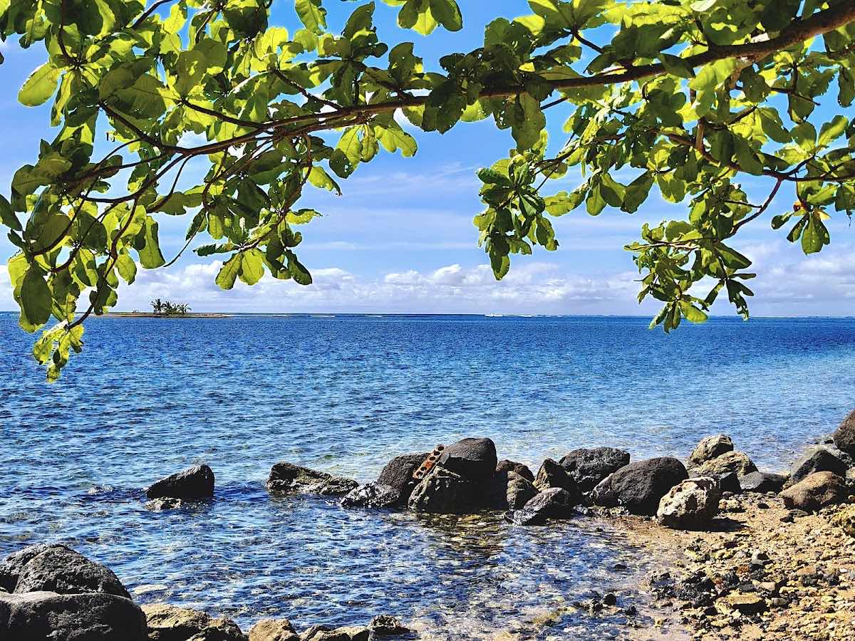 Palolo Deep Marine Reserve photo 2