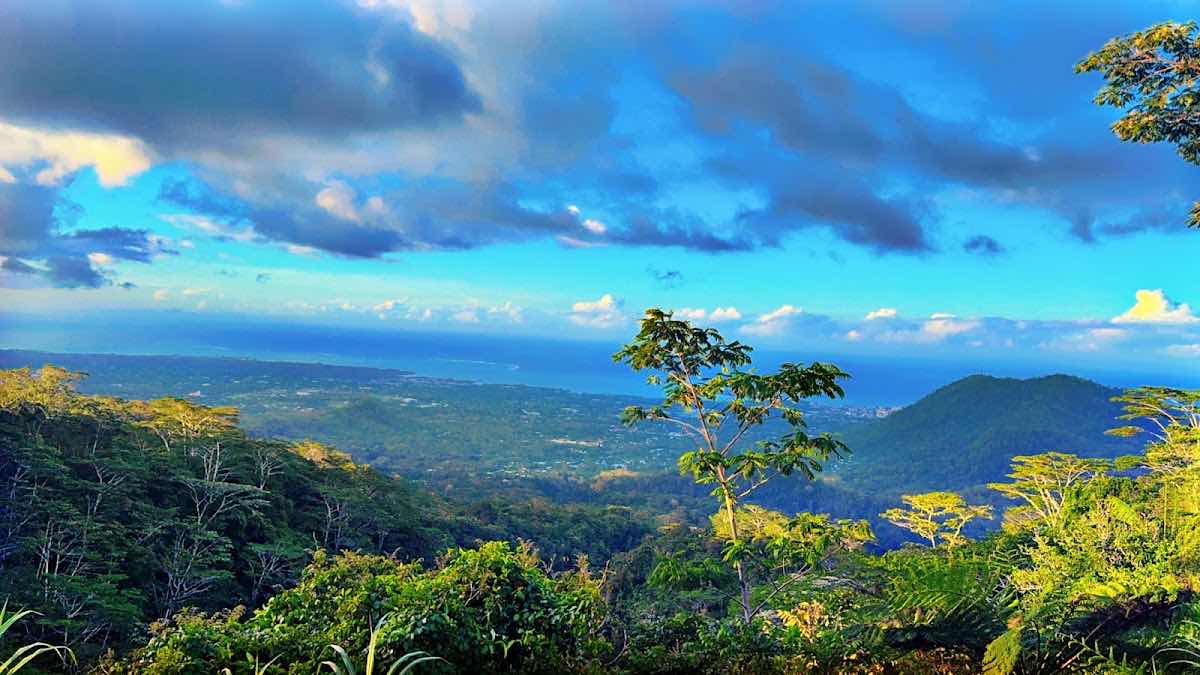 Palolo Deep Marine Reserve photo 6