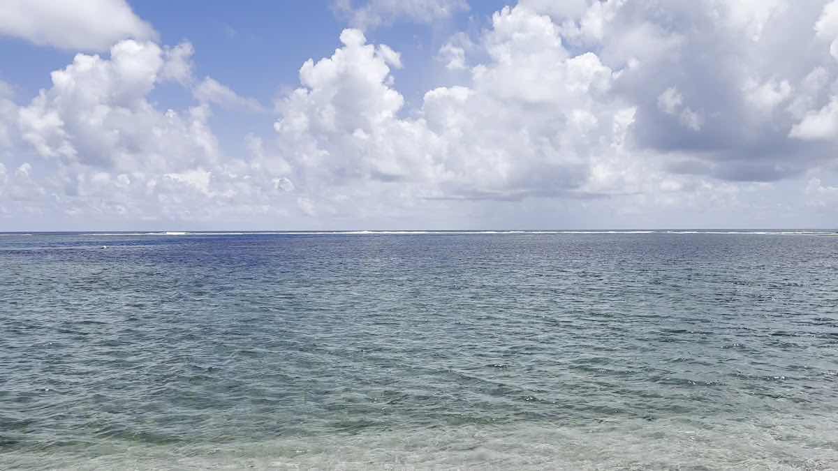 Palolo Deep Marine Reserve photo 9
