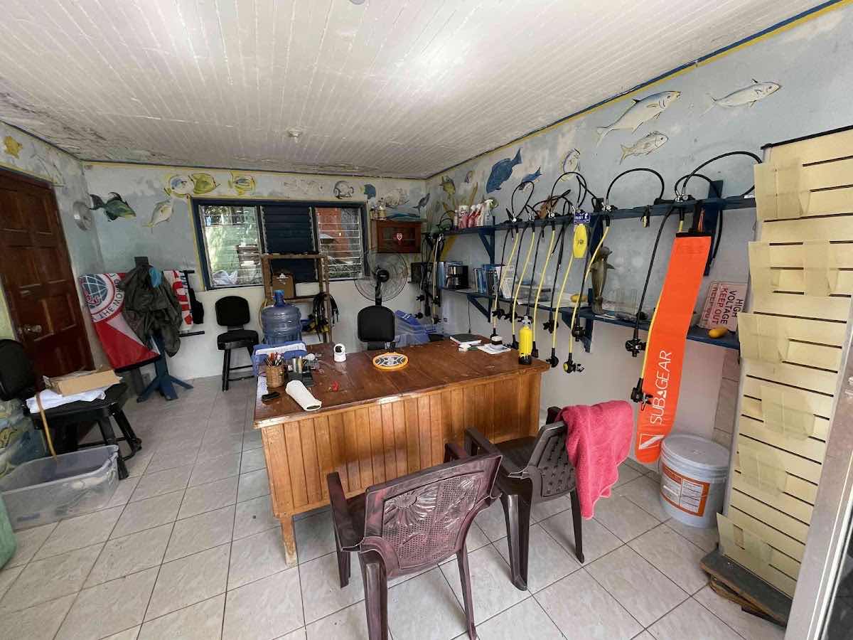 Aquanaut Jamaica photo 3