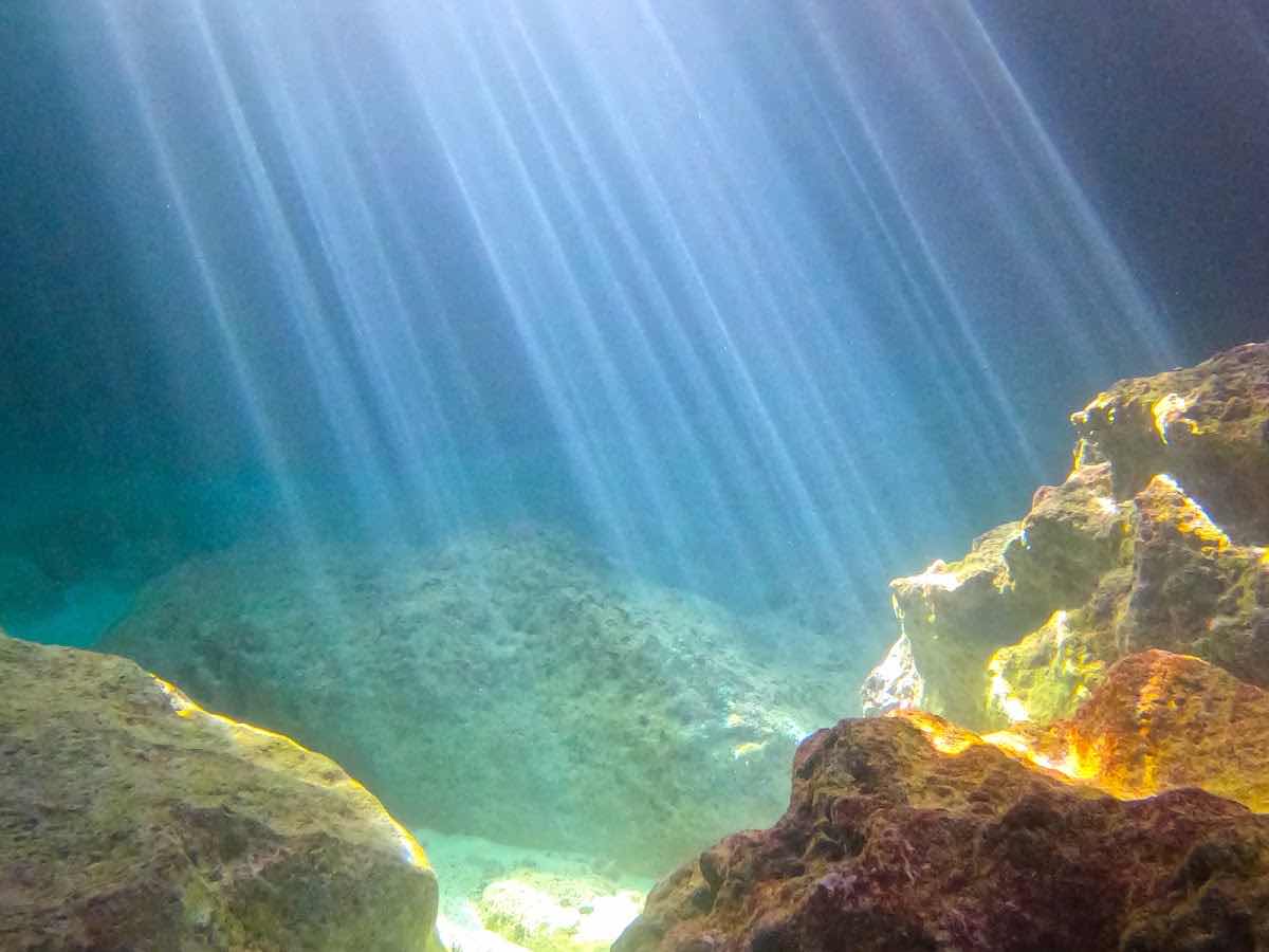 Aquanaut Jamaica photo 10