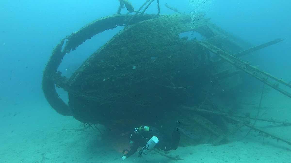 Liquid Planet Dive Center photo 3