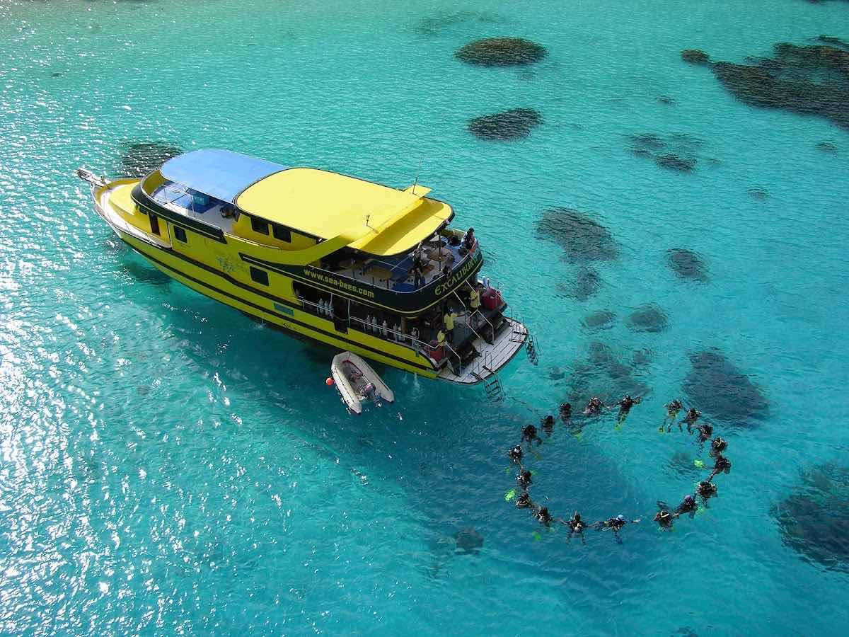 All4Diving Phuket photo 9