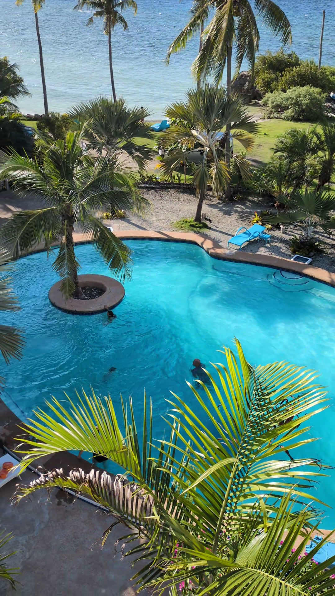 The Wild Orchid Resort photo 3