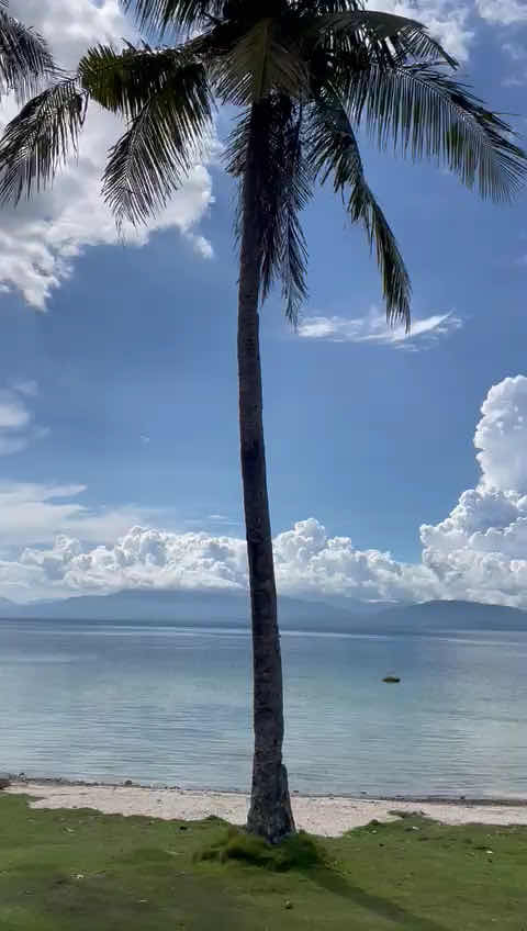 The Wild Orchid Resort photo 4