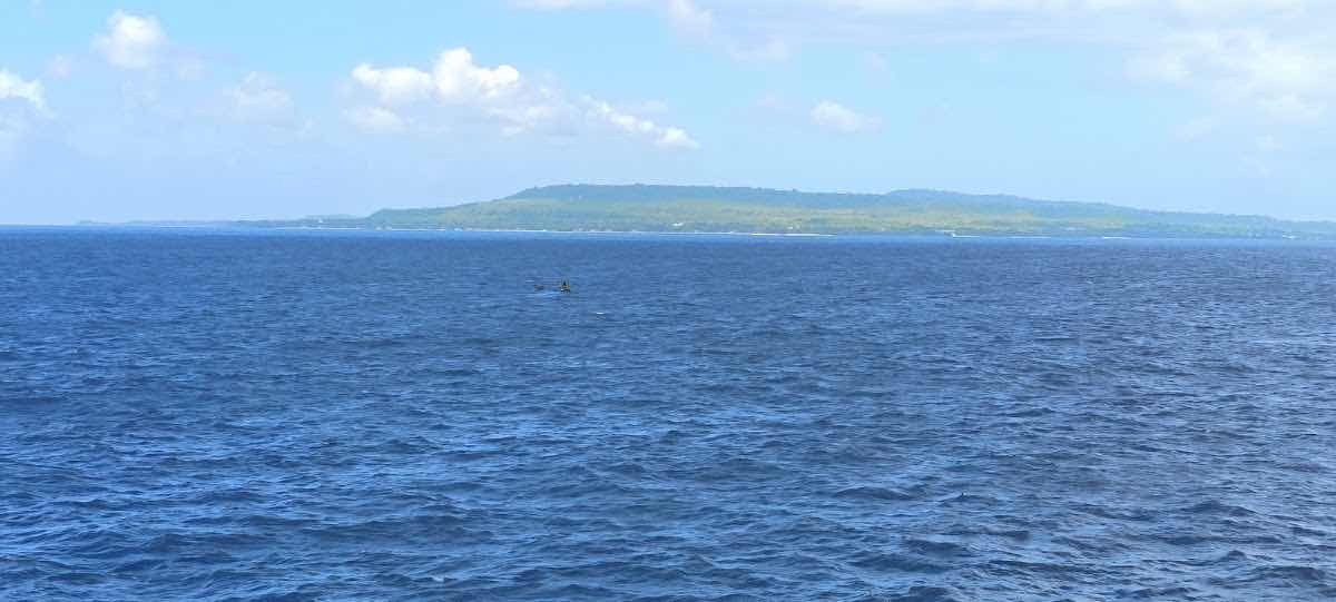Wakatobi National Park photo 2