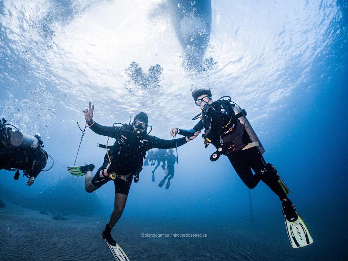 Octopus Dive Nusa Penida | Estd.2013 photo 5