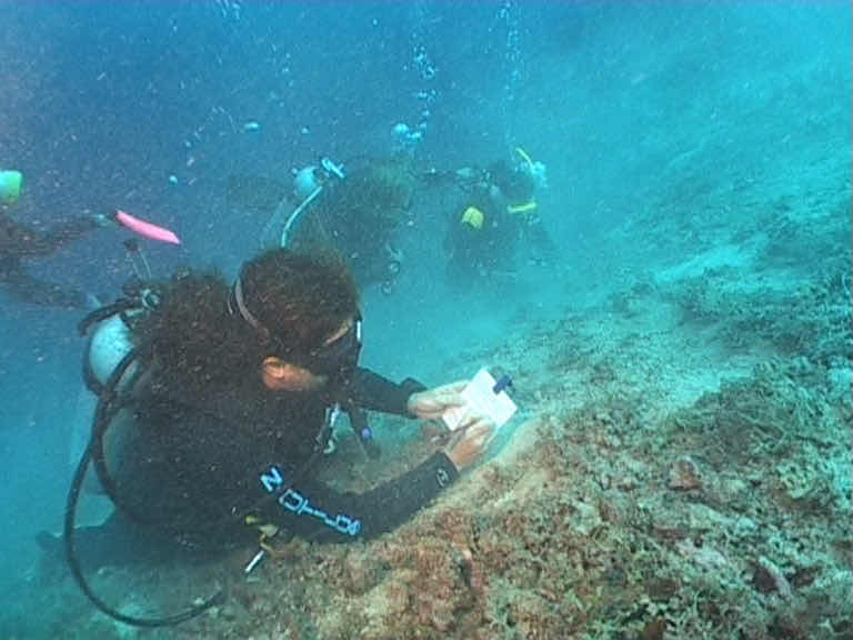 Performance Marine Commercial Diving and Marine Surveying photo 10