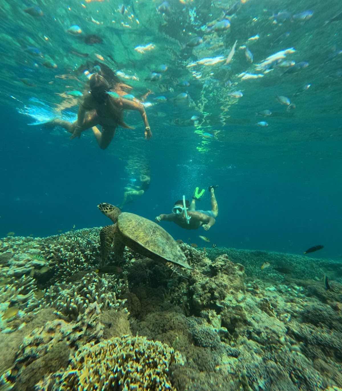 Snorkeling,Gili Trawangan,Gili Meno, photo 2