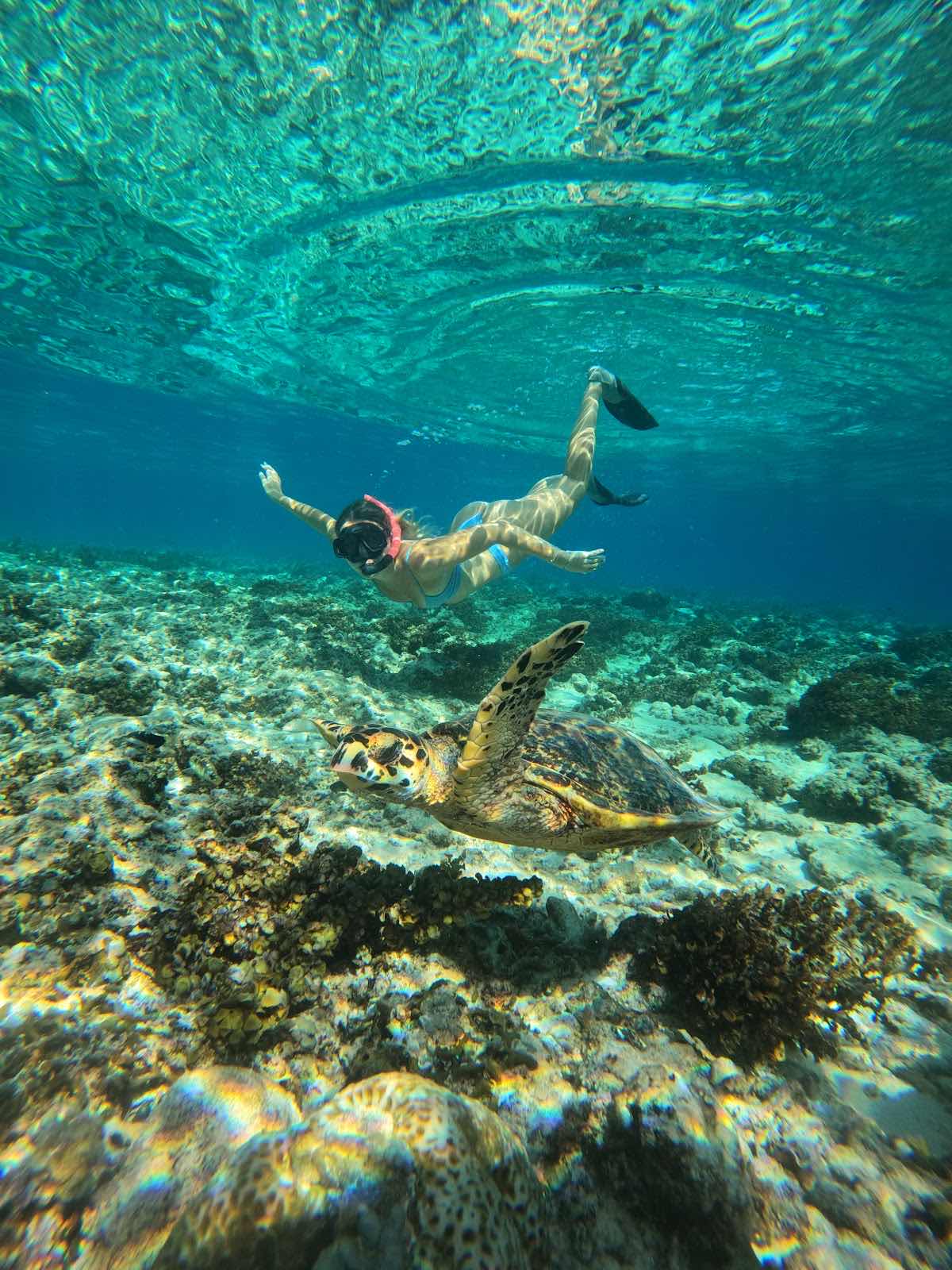 Snorkeling,Gili Trawangan,Gili Meno, photo 4