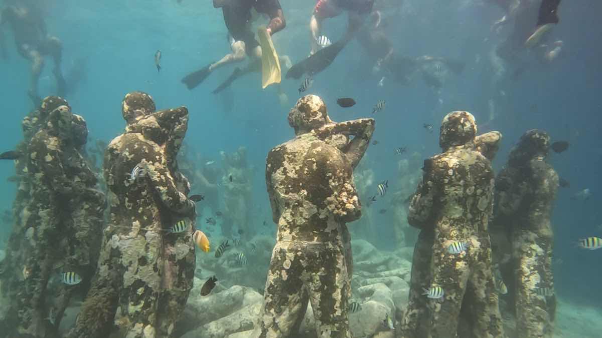Snorkeling,Gili Trawangan,Gili Meno, photo 5