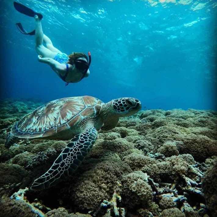 Snorkeling,Gili Trawangan,Gili Meno, photo 7
