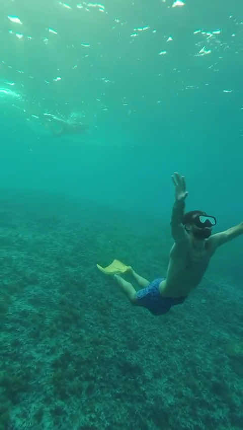 Snorkeling,Gili Trawangan,Gili Meno, photo 9