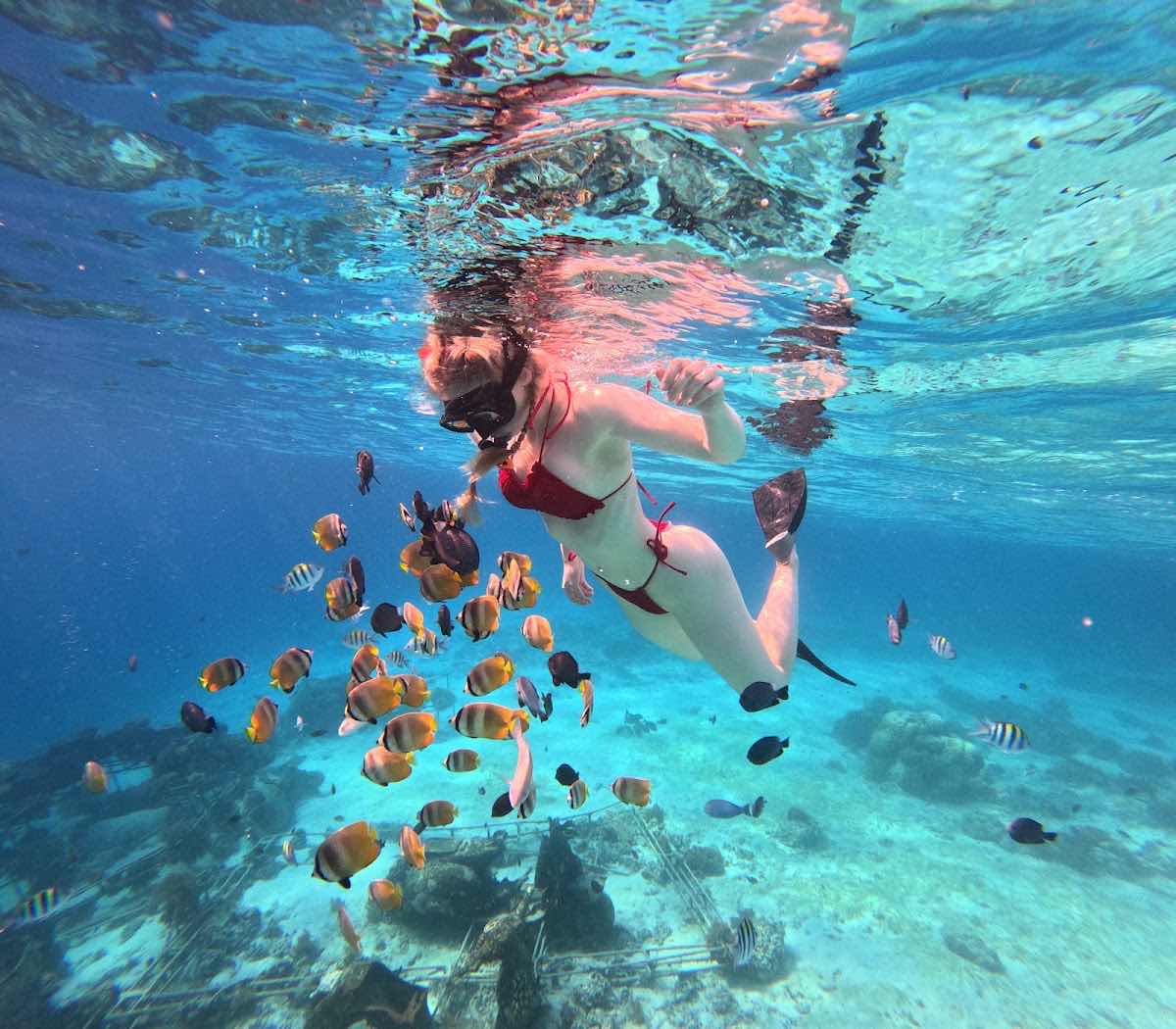 Snorkeling,Gili Trawangan,Gili Meno, photo 10