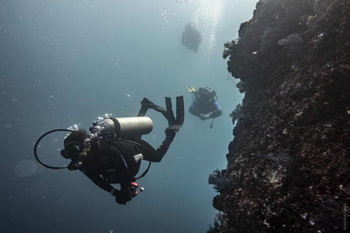 Scuba Diving in Cabo. photo 3