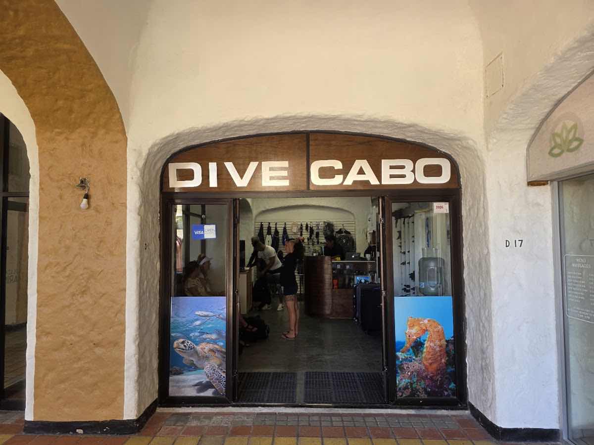 Scuba Diving in Cabo. photo 6