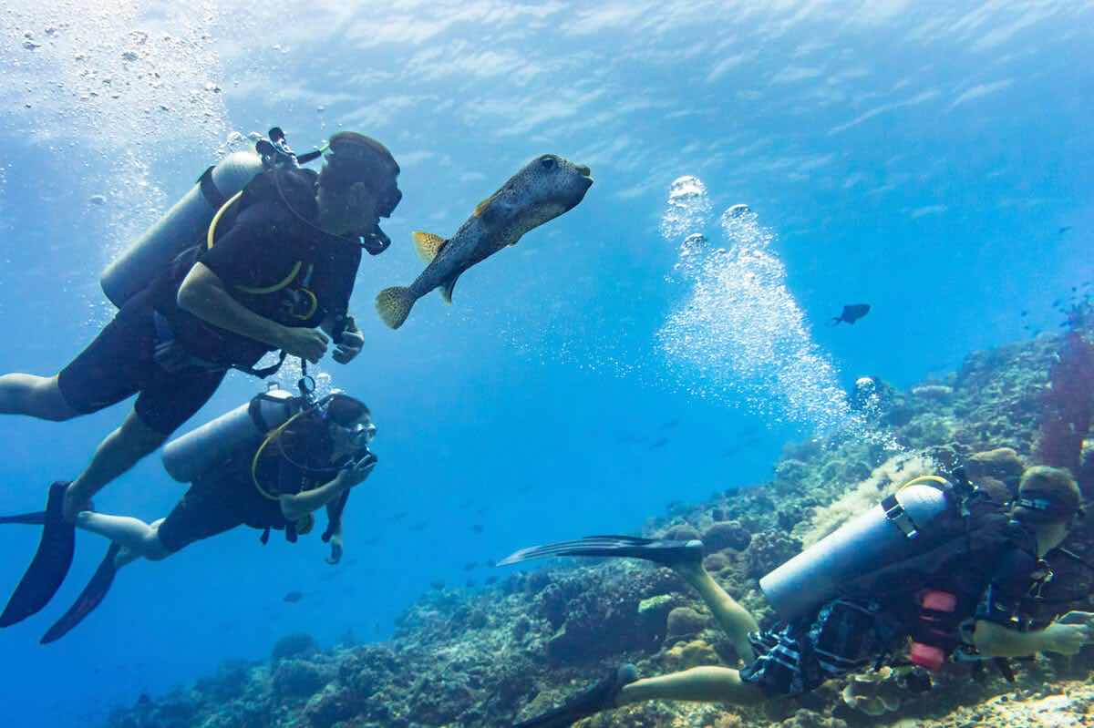 Lanzarote Buceo photo 4