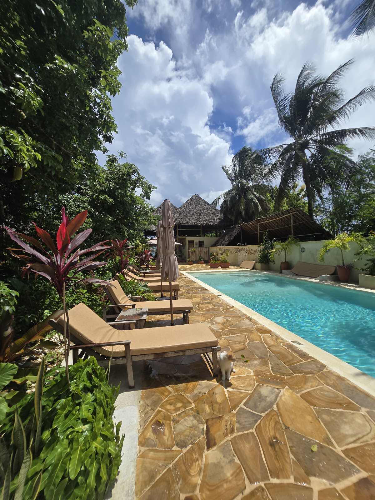 Afro Divers Lodge photo 6