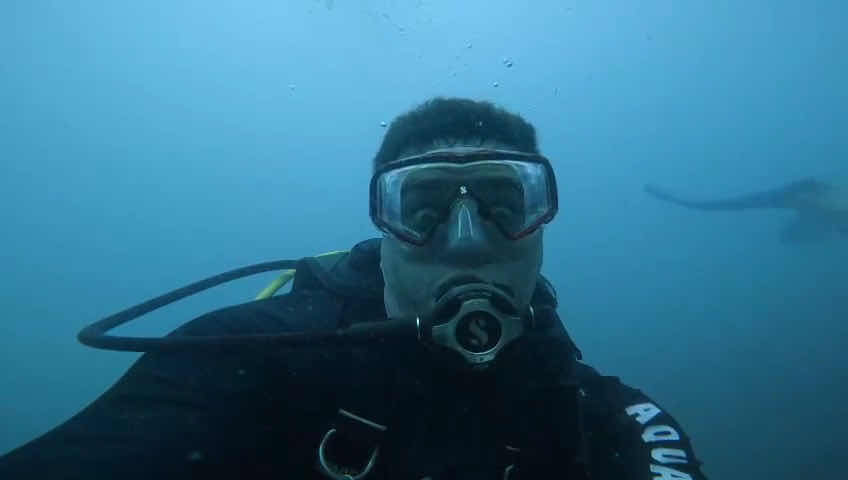 Bubbles Up Dive Center photo 3