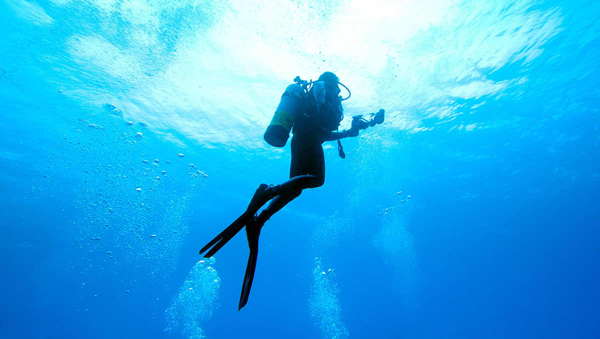 Bubbles Up Dive Center photo 6