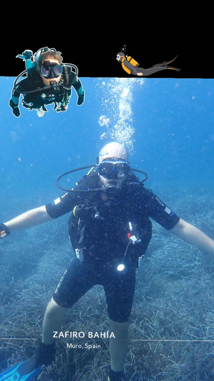 SCUBANEO Diving & Instructor Training Center photo 3